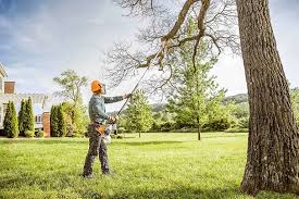  Coldspring, TX Tree Services Pros
