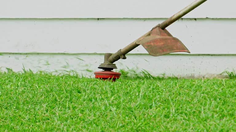 Best Stump Grinding and Removal  in Coldspring, TX